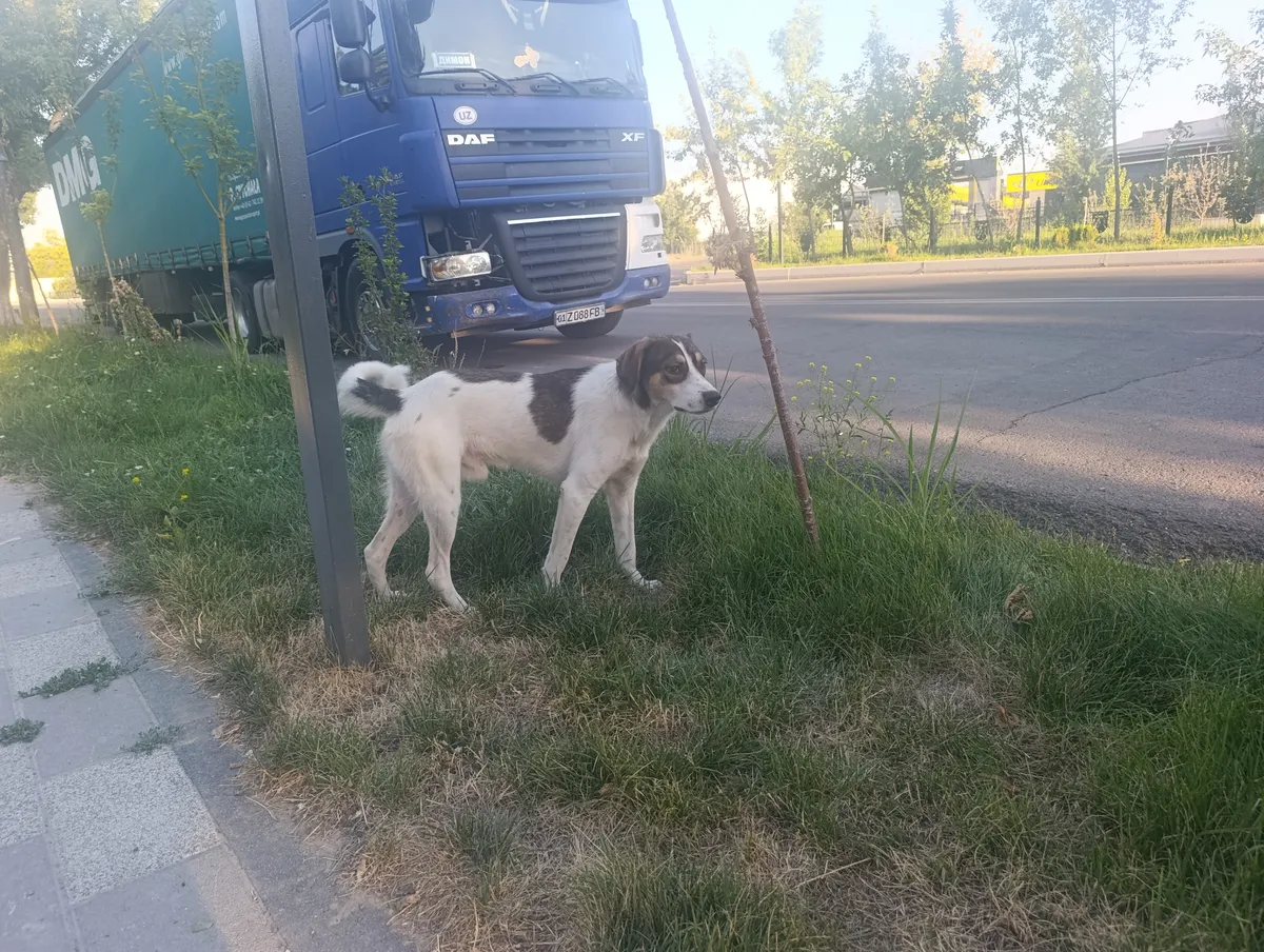 Андрей